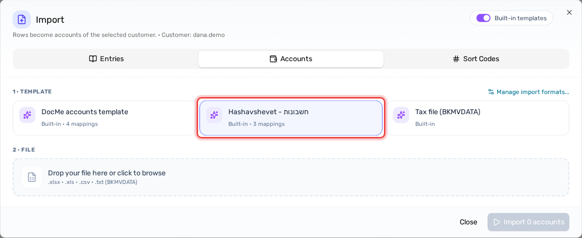 The Accounts tab and the Hashavshevet - חשבונות template